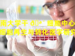 济南大学干 🪴 细胞中心（济南干细胞再生与转化医学研究院）